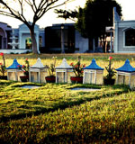 短信压力测试在线网页版